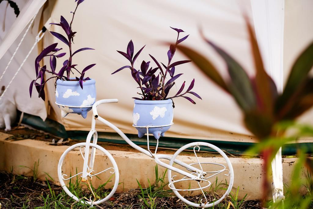 Harmony Glamping Boutique Hotel And Yoga トゥルム 部屋 写真