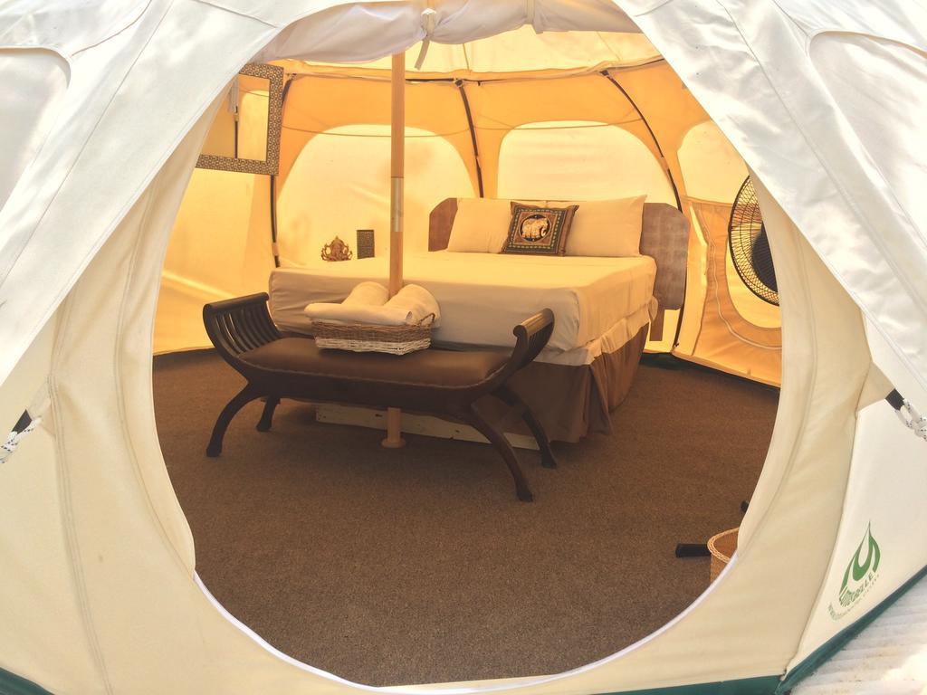 Harmony Glamping Boutique Hotel And Yoga トゥルム 部屋 写真