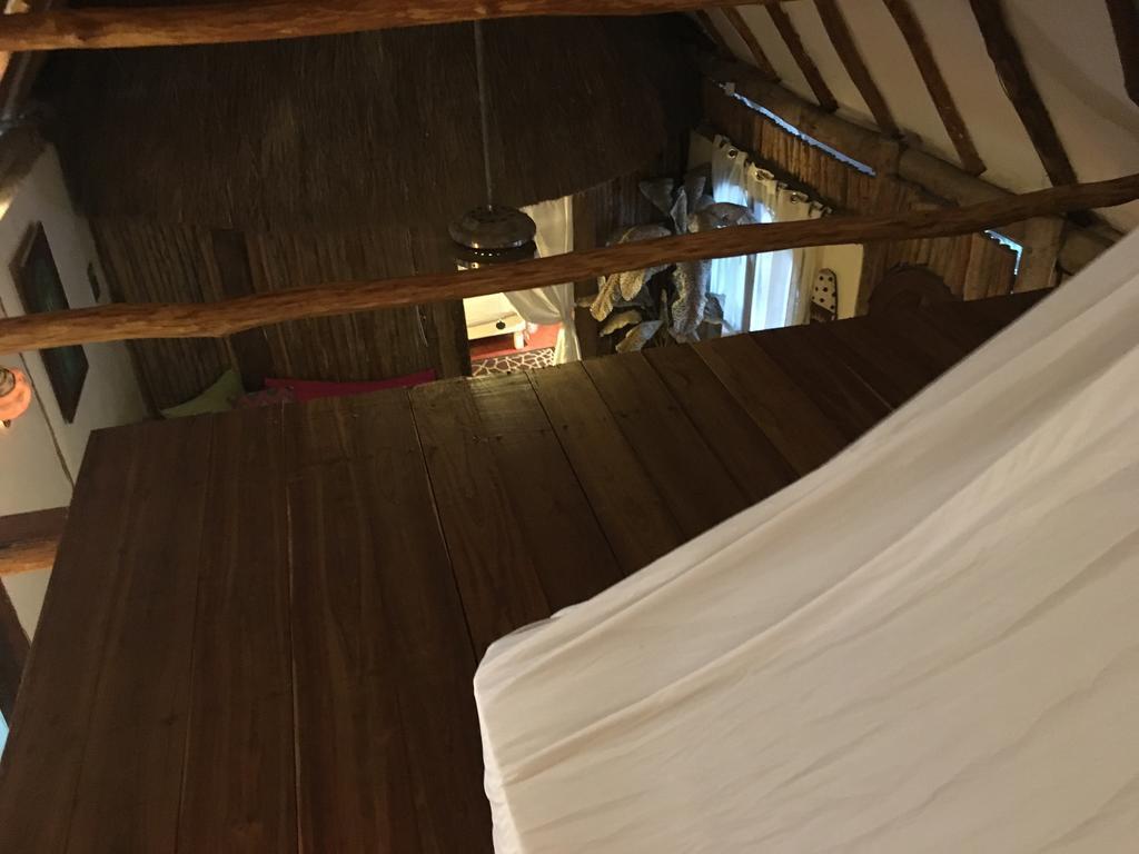 Harmony Glamping Boutique Hotel And Yoga トゥルム エクステリア 写真